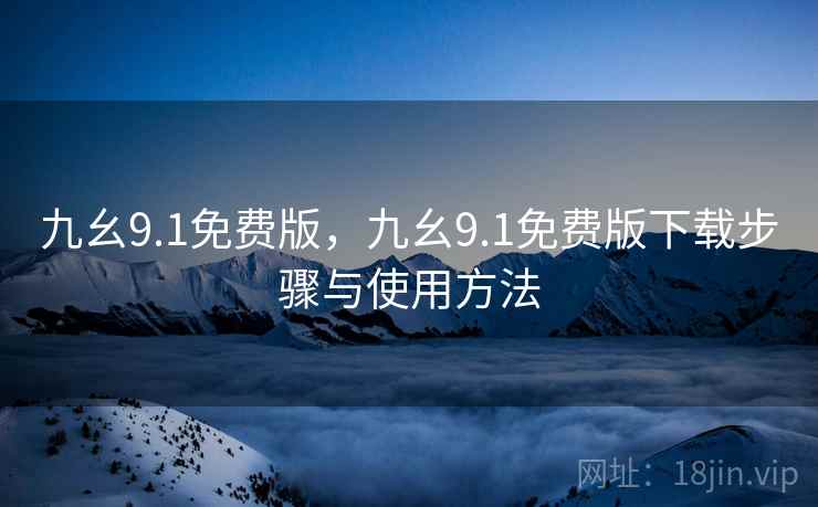 九幺9.1免费版，九幺9.1免费版下载步骤与使用方法