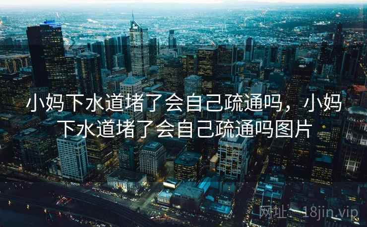 小妈下水道堵了会自己疏通吗，小妈下水道堵了会自己疏通吗图片