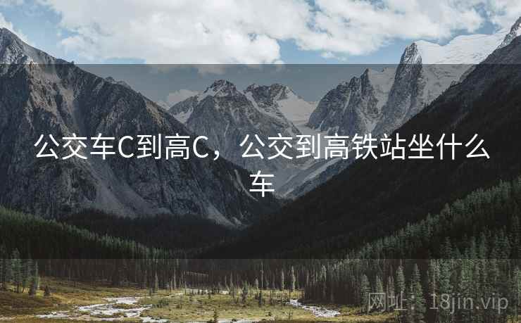 公交车C到高C，公交到高铁站坐什么车