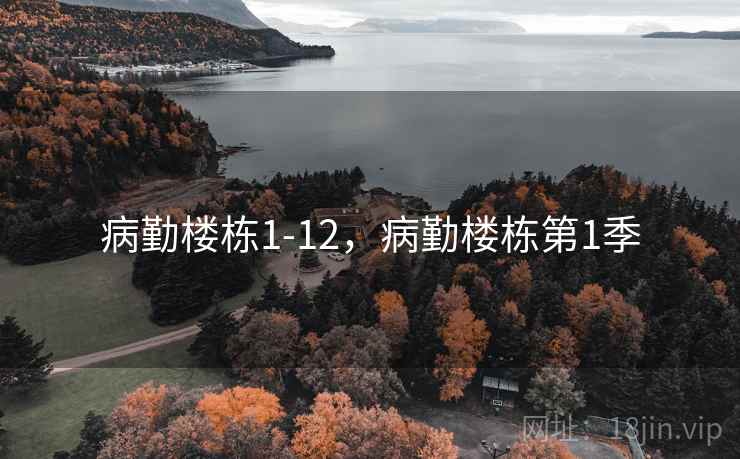 病勤楼栋1-12，病勤楼栋第1季