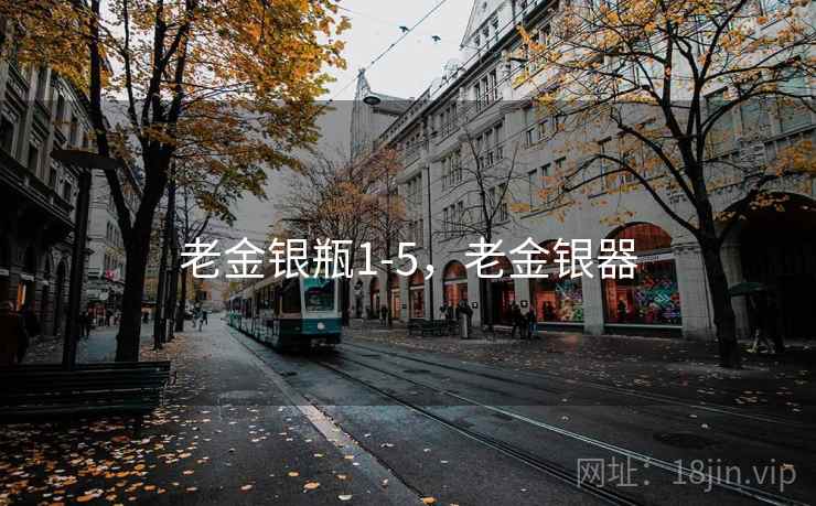 老金银瓶1-5，老金银器