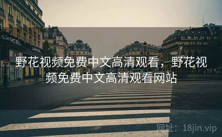野花视频免费中文高清观看，野花视频免费中文高清观看网站