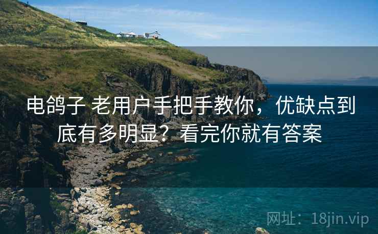 电鸽子 老用户手把手教你，优缺点到底有多明显？看完你就有答案