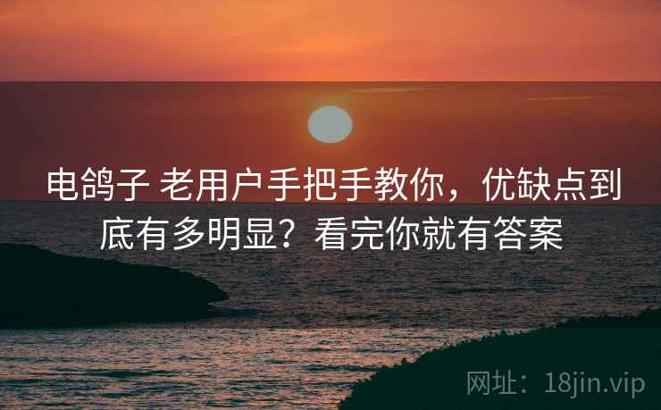 电鸽子 老用户手把手教你，优缺点到底有多明显？看完你就有答案