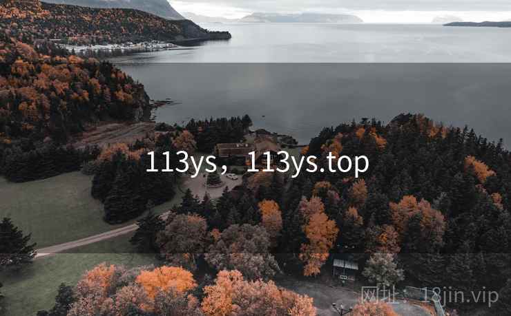 113ys，113ys.top